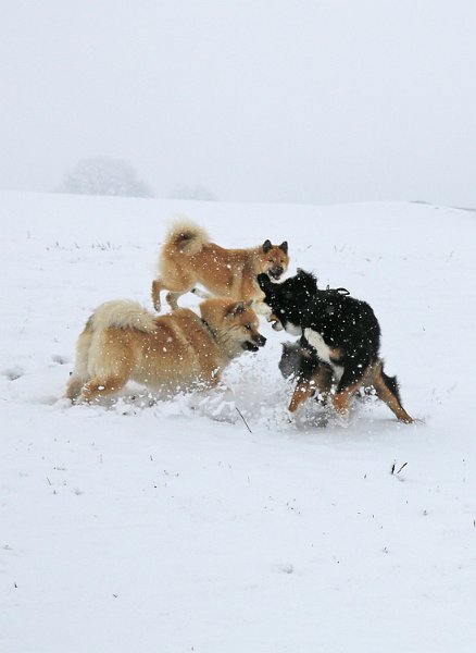 IMG_9483.jpg - Juhuuuu - das macht Spass!