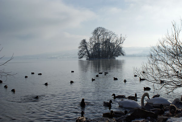 trichter.jpg - Blick zum Inseli