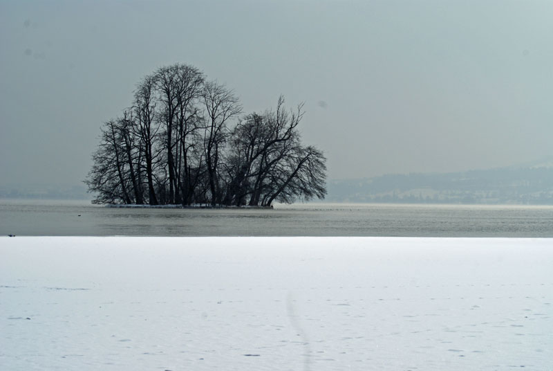 10_see.jpg - Ein Teil des zugefrorenen Sempachersees