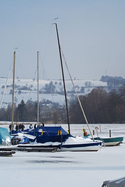 21_boote.jpg - Vorläufig sind keine Segeltörns...
