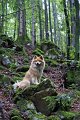 13_lasca