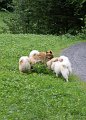 16_schnueffeln