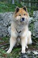 35_legro