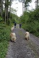 63_spaziergang