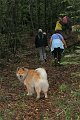 71_wald