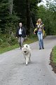 73_rueckweg