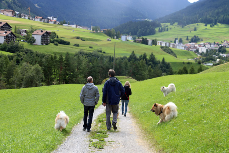 IMG_0562.jpg - Wir machen uns auf den Weg hinunter nach Savognin