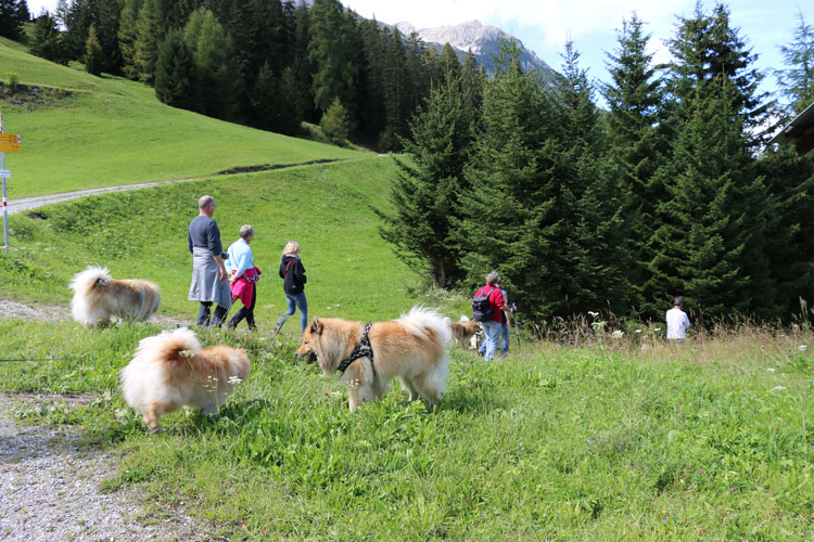 IMG_0733.jpg - Und weiter geht's