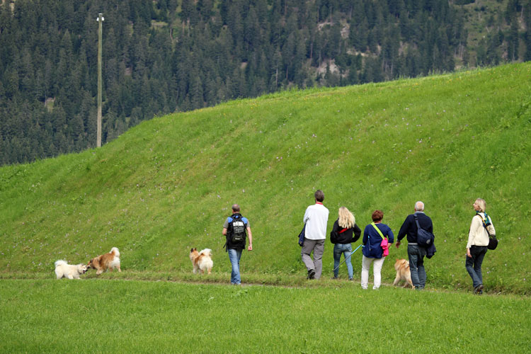 IMG_0792.jpg - Weiter geht es bergab