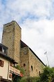 IMG_0555