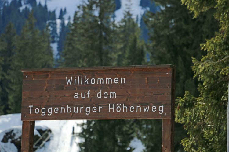 IMG_6905.jpg - Auf der Alp Sellamatt im Toggenburg haben wir den elf-einhalbten Geburtstag des L-Wurfes gefeiert.