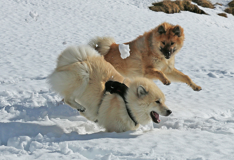 IMG_7076.jpg - Das macht Spass!