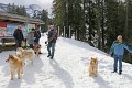 IMG_6890