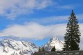 IMG_6900