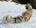 IMG_7078