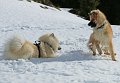 IMG_7080