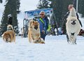 IMG_7114a