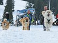 IMG_7115