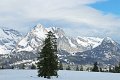 IMG_7179