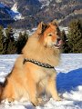 IMG_7237.Legro.b.kl
