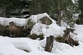 IMG_7243