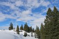IMG_7254