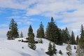 IMG_7255