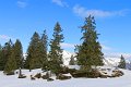 IMG_7271