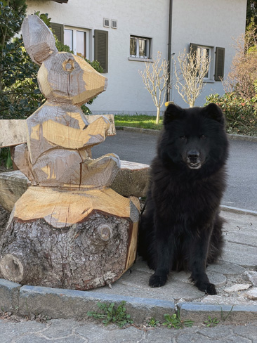 Finn mit Osterhase