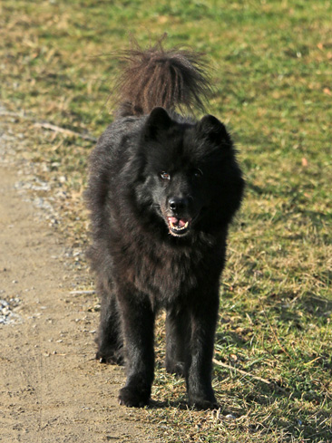 Finn mit 10 Jahren