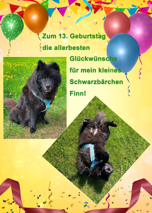 Finn mit 13 Jahren