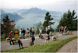 Auf der Rigi