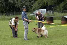 Flatterbänder